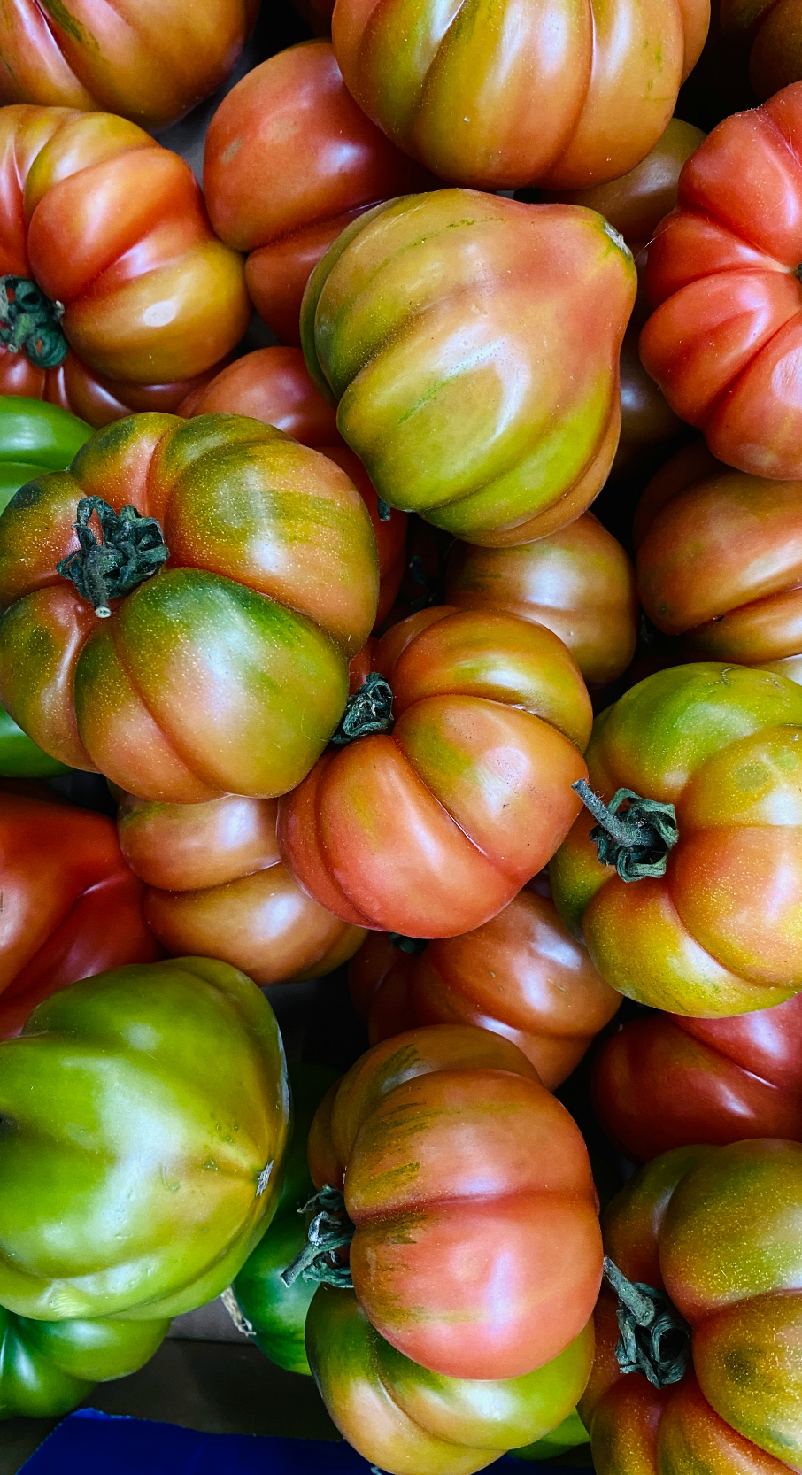 Scented Sicilian Tomato 12 oz scented candle