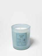 Scented Ocean Mist 10 oz scented candle
