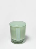 Scented Seaside Dreams 8 oz scented candle