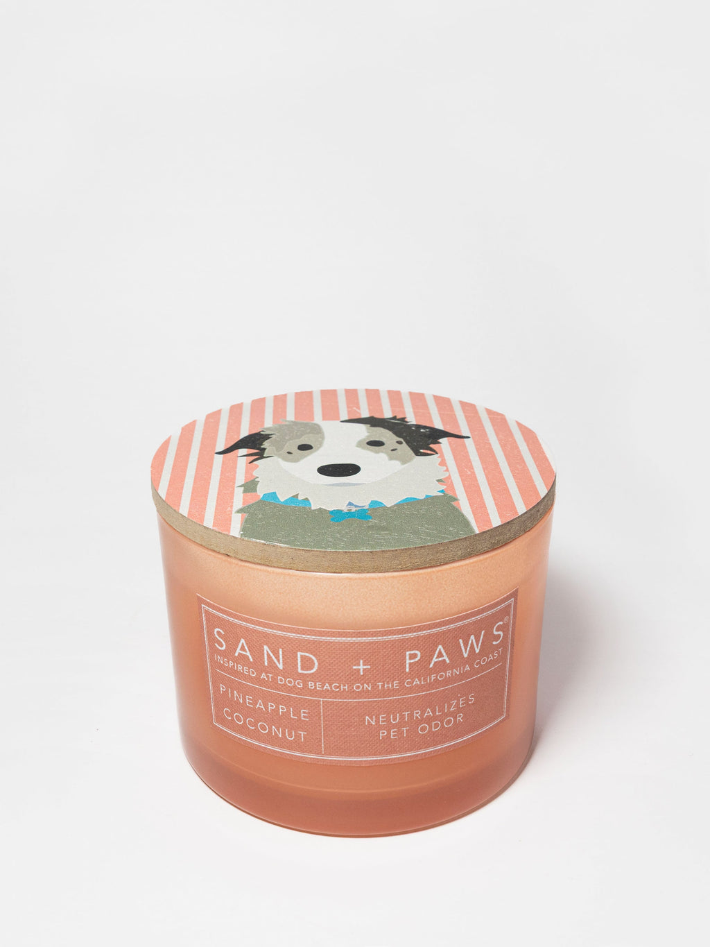 Scented Sand + Paws Pineapple Coconut 12 oz scented candle