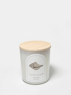 Scented Ocean & Sea Salt 10 oz scented candle