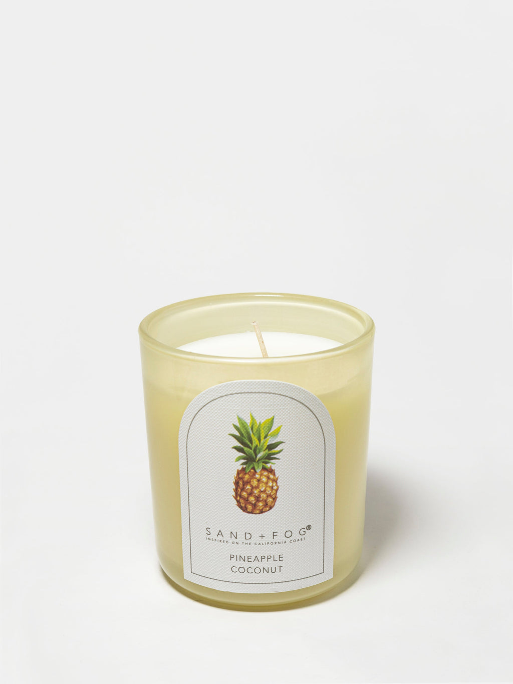 Scented Pineapple Coconut 10 oz scented candle