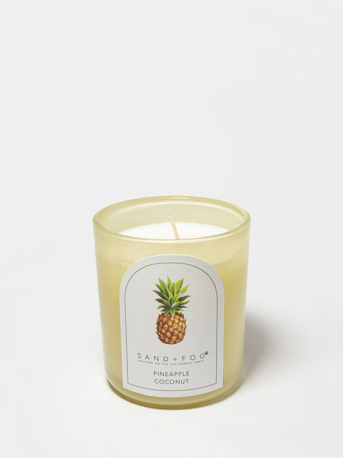 Scented Pineapple Coconut 10 oz scented candle