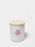 Scented Tropical Citrus 10 oz scented candle