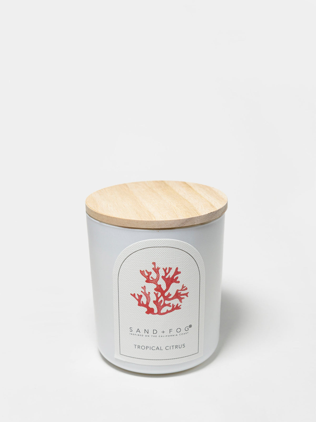 Scented Tropical Citrus 10 oz scented candle