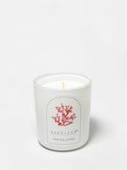 Scented Tropical Citrus 10 oz scented candle