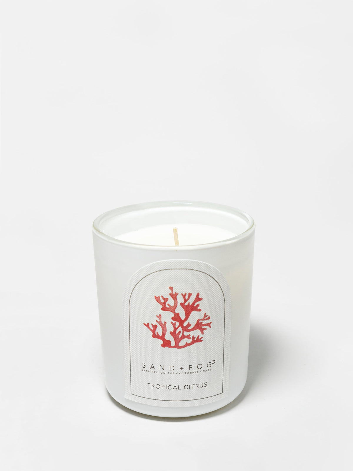 Scented Tropical Citrus 10 oz scented candle