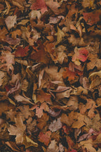 Scented Fall Leaves 12 oz scented candle