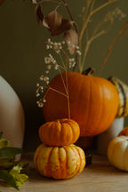 Scented Pumpkin Coconut 12 oz scented candle