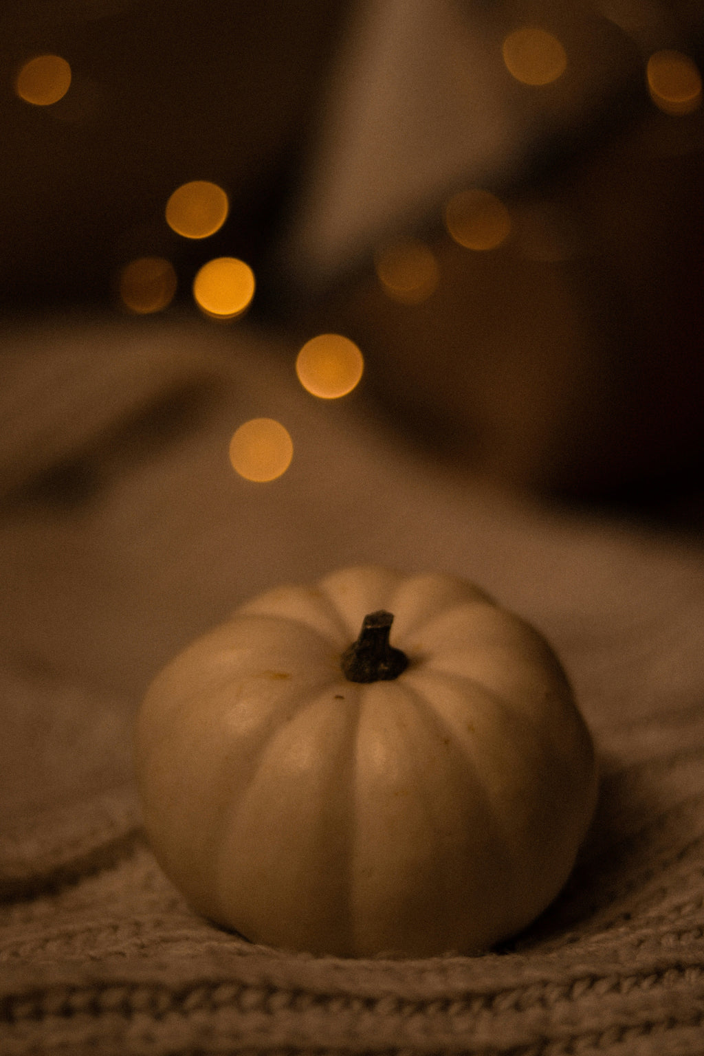 Scented Vanilla Pumpkin 21 oz scented candle