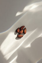 Elegant Vanilla Almond 50ml Perfume Oil Dropper